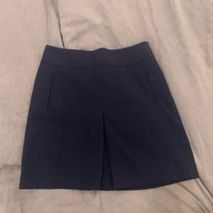 Ann Taylor loft skirt